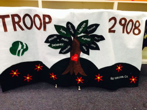 Troop 2908