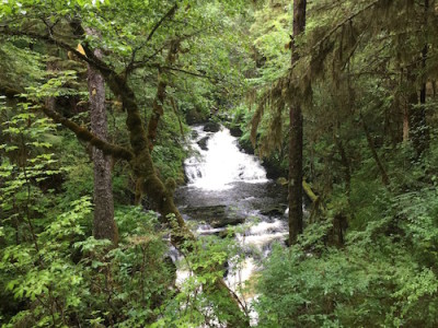 Ketchikan Waterfall